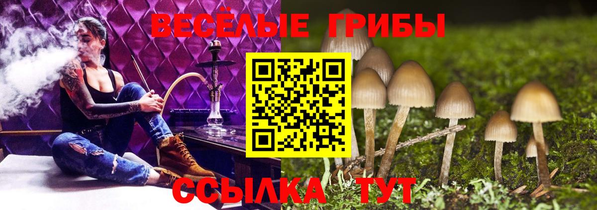 Саянск  Псилоцибиновые грибы мухоморы  Вход с VPN 